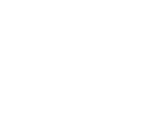 PSB Logo all white